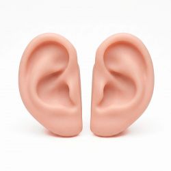 Par de Orelhas De Borracha Humanas Para Acupuntura - 7,5cm - ZhenMed