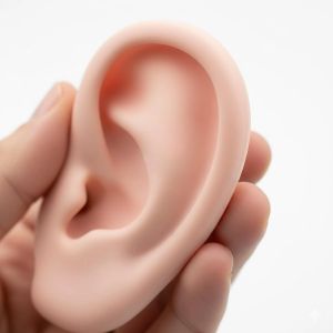 Par de Orelhas De Borracha Humanas Para Acupuntura - 7,5cm - ZhenMed
