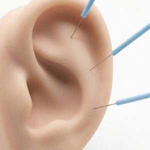Par de Orelhas De Borracha Humanas Para Acupuntura - 7,5cm - ZhenMed